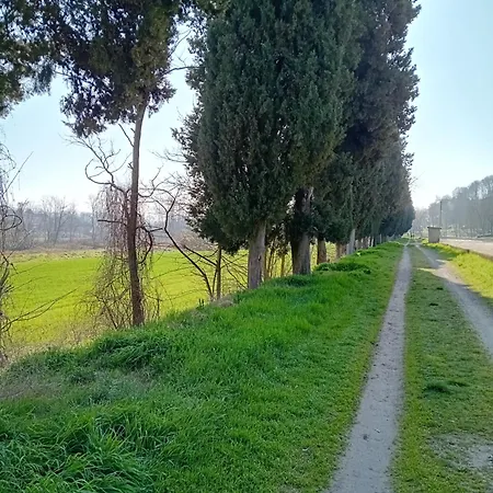Il Glicine Sul Garda Peschiera Peschiera del Garda